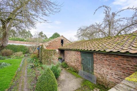Thatch 18 T202504041224.jpg