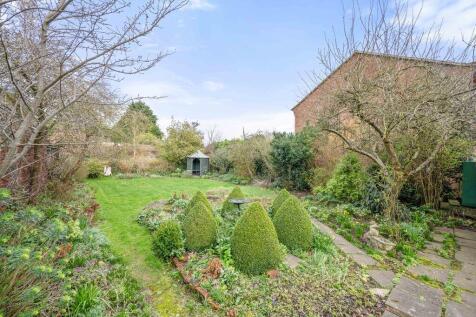 Thatch 19 T202504041224.jpg