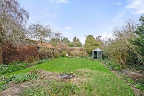 Thatch 20 T202504041224.jpg