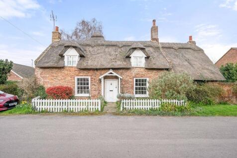 Thatch 24 T202504041224.jpg