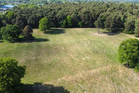 Dji Fly 20250514 162652 910 1747236485245 Photo Optimized  Medium  T202505231709.jpg