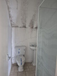 3 T202505191635.jpg