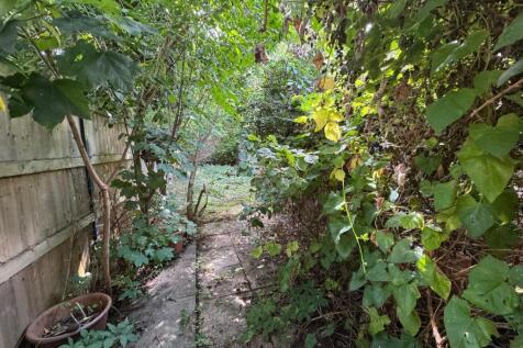 Garden T202508141605.jpg