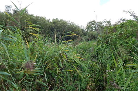 13 T202509240937.jpg