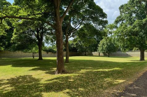 South Garden  Medium  T202509291201.jpg