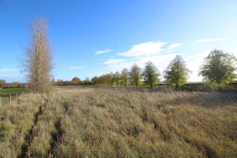 Land 2   Medium  T202509251230.jpg