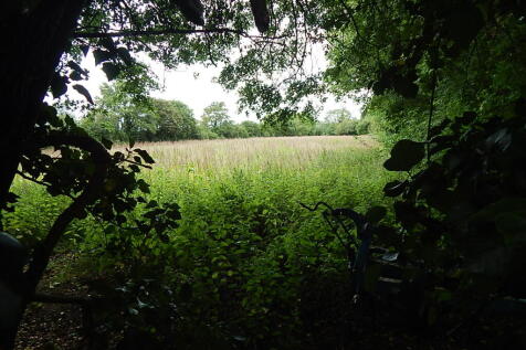 13 T202509241148.jpg