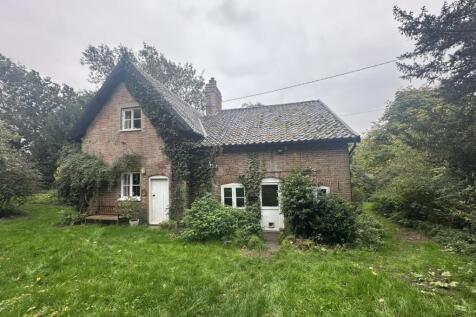 IMG 1650 T202510171751.jpg