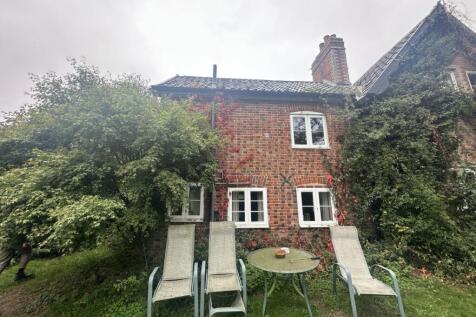 IMG 1656 T202510171751.jpg