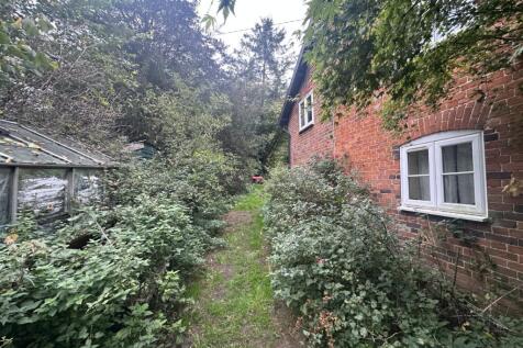 IMG 1660 T202510171751.jpg