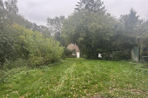 IMG 1617 T202510171751.jpg