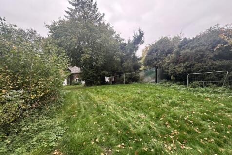 IMG 1661 T202510171751.jpg