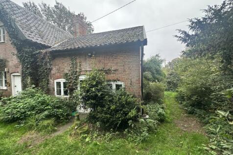 IMG 1651 T202510171751.jpg