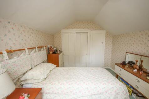 IMG 1824  Medium  T202510021319.jpg