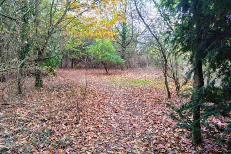 Woodland-1 T202511071426.jpg