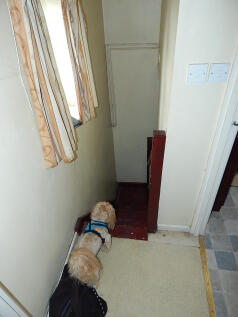 15 T202510171054.jpg