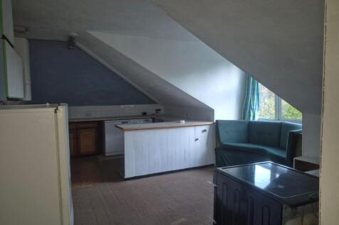 EE0E8B3A-352A-4C00-B849-BD4C16D408B3 T202510251705.jpg