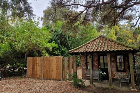 1  Medium  T202510291555.jpg