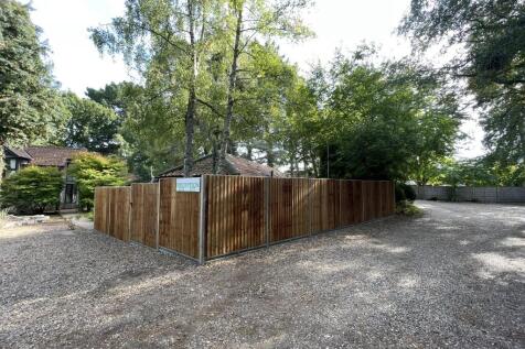 18  Medium  T202510291555.jpg