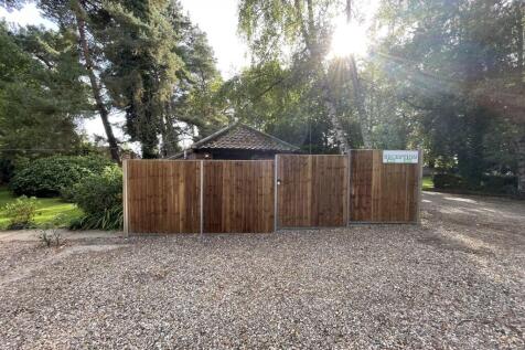 19  Medium  T202510291555.jpg