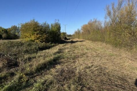 7  Small  T202510301312.jpg