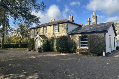 IMG 1724 T202510281537.jpg