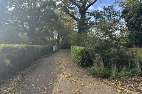 IMG 1725 T202510281537.jpg