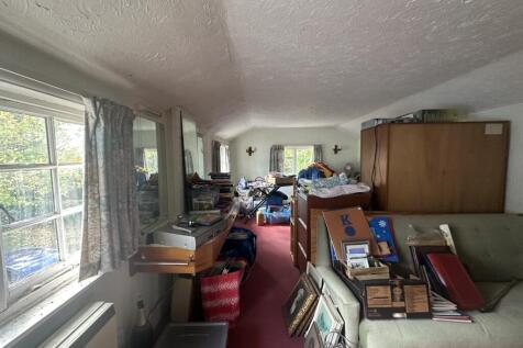 IMG 1693 T202510281537.jpg