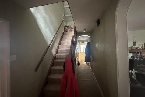 IMG 1695 T202510281537.jpg