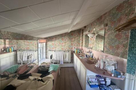 IMG 1679 T202510281537.jpg