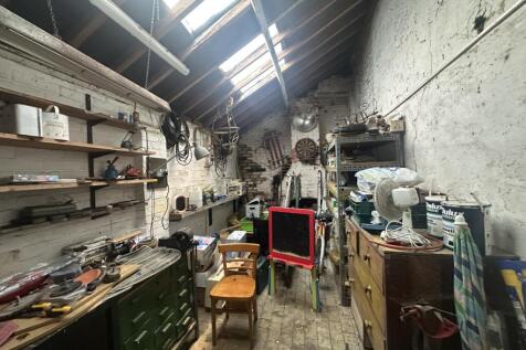 IMG 1699 T202510281537.jpg