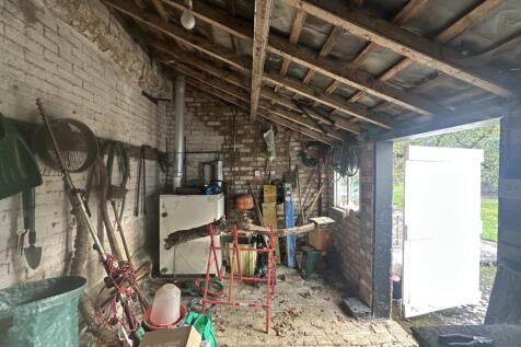 IMG 1707 T202510281537.jpg