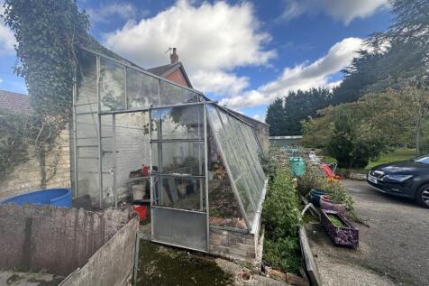 IMG 1705 T202510281537.jpg