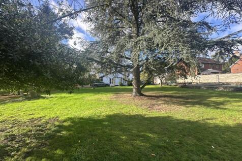 IMG 1757 T202510281537.jpg