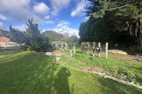 IMG 1756 T202510281537.jpg