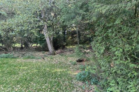 IMG 1748 T202510281537.jpg