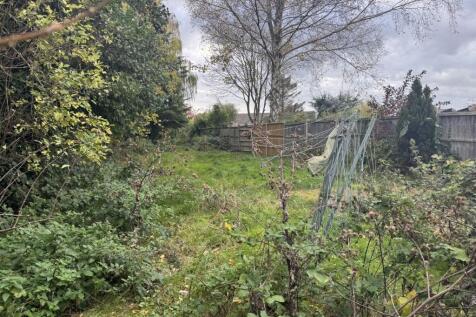 9  Medium  T202510282240.jpg