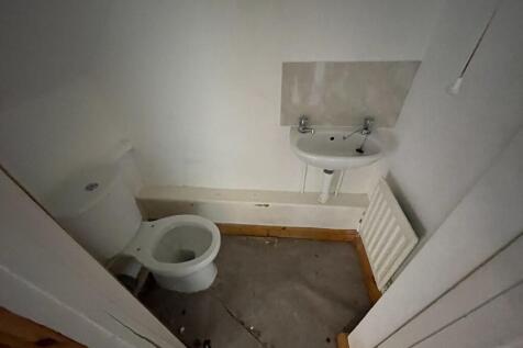 7  Medium  T202511031207.jpg