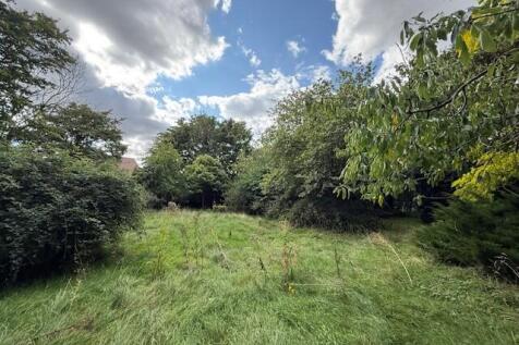 11 T202509221100.jpg