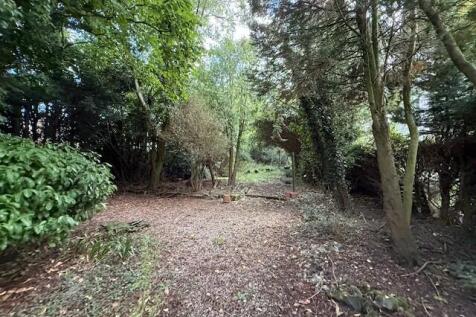 43 T202509221122.jpg