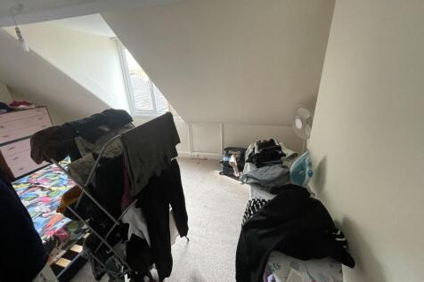 15  Medium  T202511041108.jpg