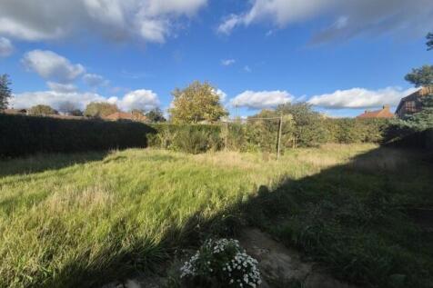 20251027 141101  Small  T202510301205.jpg