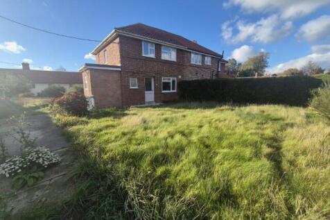 20251027 141114  Small  T202510301205.jpg