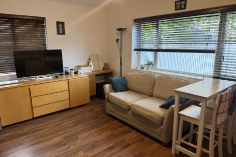 2  Medium  T202511051457.jpg