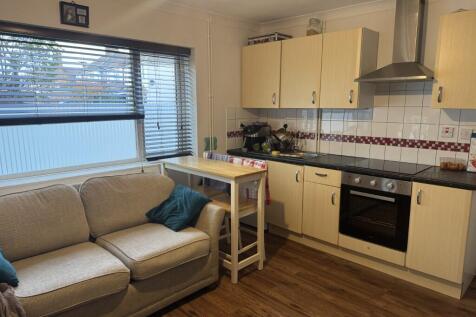 3  Medium  T202511051457.jpg