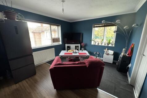 4  Medium  T202511121550.jpg