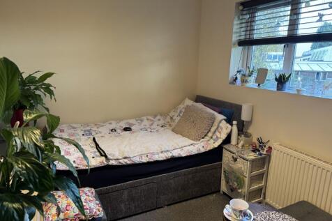 5  Medium  T202511051457.jpg