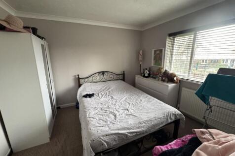 5  Medium  T202511121550.jpg