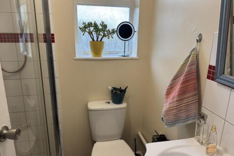 7  Medium  T202511051458.jpg