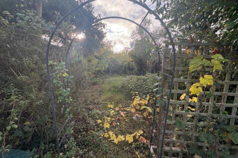 WhatsApp Image 2025-10-24 At 16.22.48 3bdf6861 T202511051337.jpg